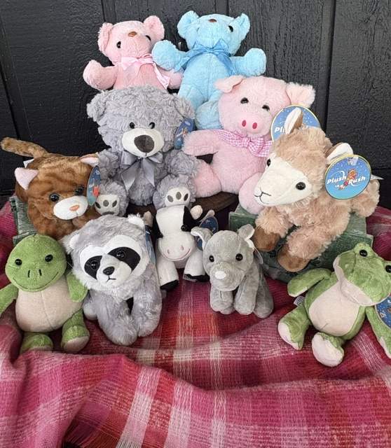 Add a PLUSH Friend - visit our MERCH Page, under COLLECTIONS