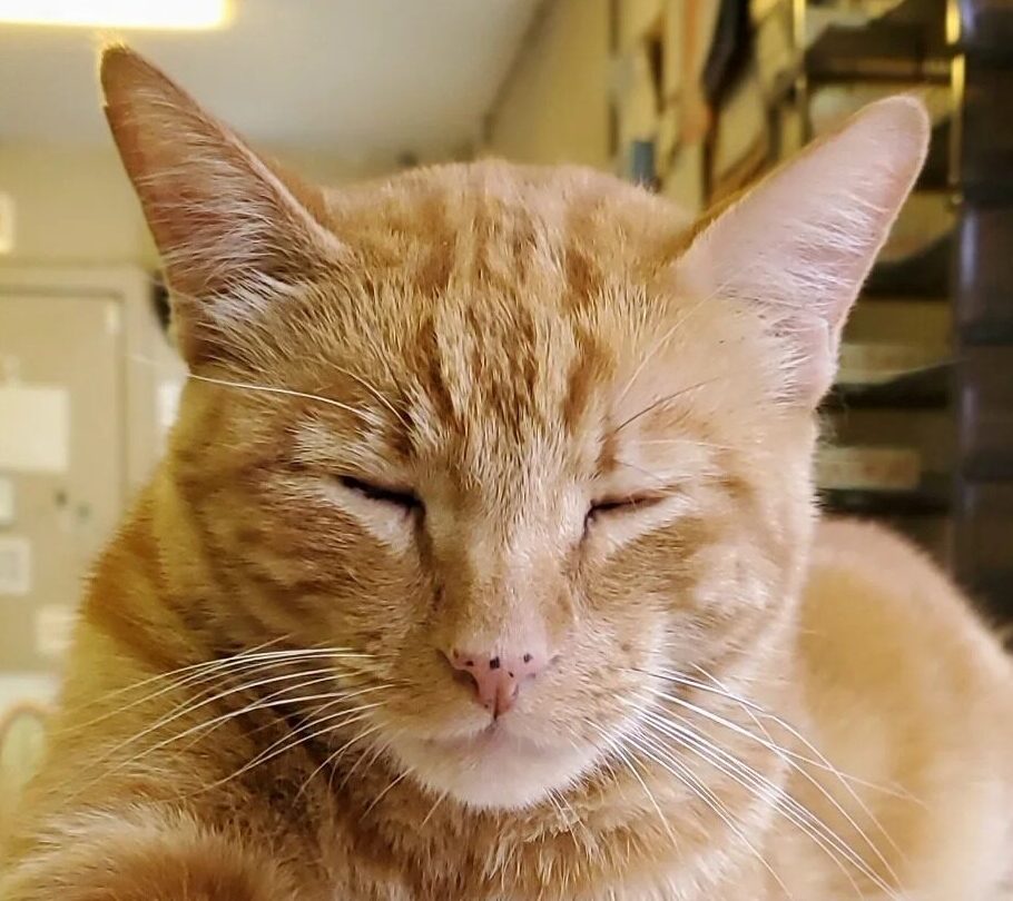 George 1