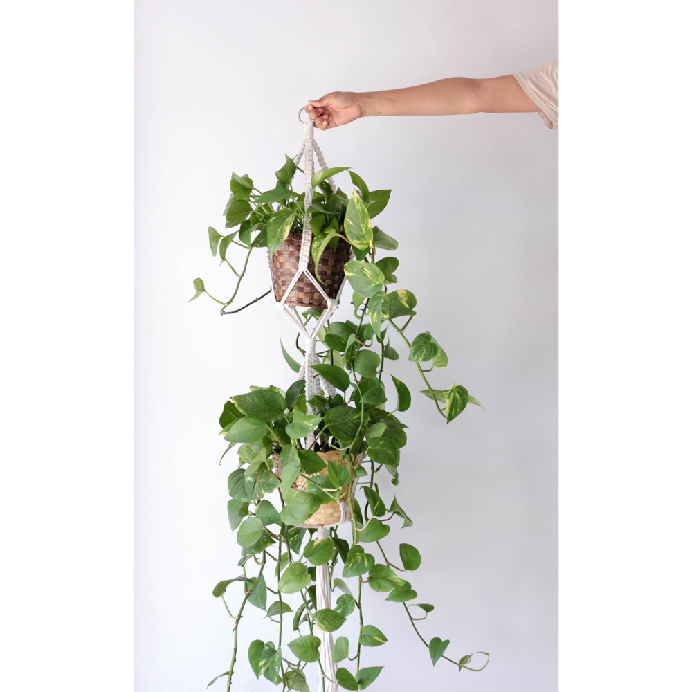 Double Ivy Macrame