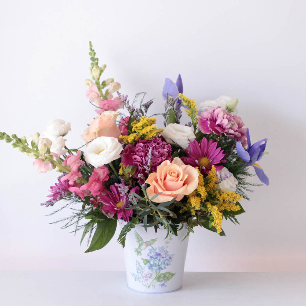 Hummingbird Heartbeat