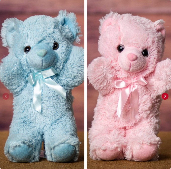 Pink or Blue Bear - 14"