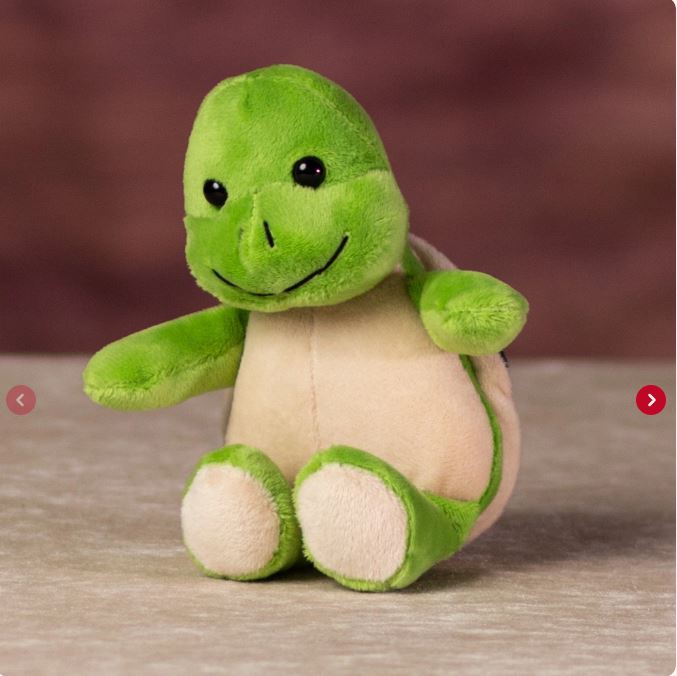 Turtle - 5"