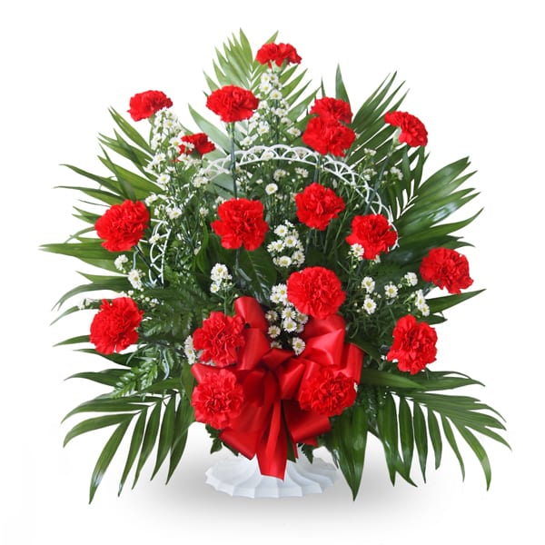 Red Carnation Funeral Basket